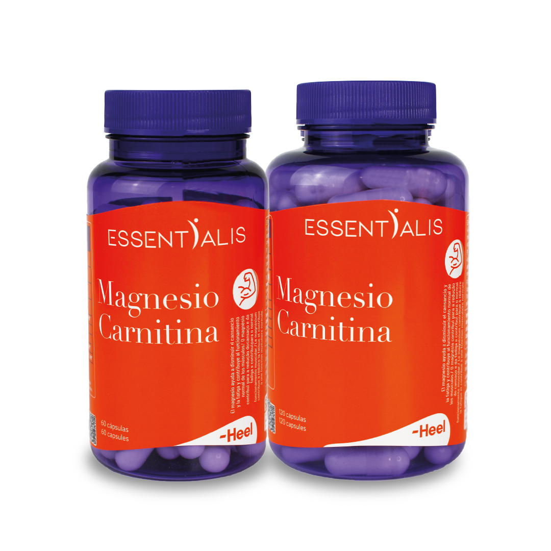 Magnesio carnitina
